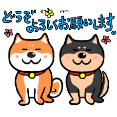 [LINEスタンプ] 敬語バージョンマイペースな柴犬