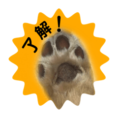 [LINEスタンプ] ちくわちゃんと仲間たち