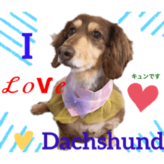 [LINEスタンプ] ダックスとたまに柴犬。