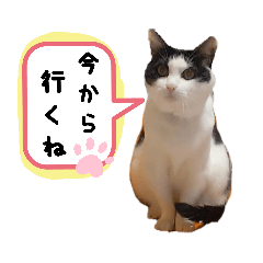 [LINEスタンプ] きっぺい24②