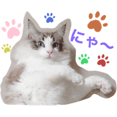 [LINEスタンプ] ロイ君サイベリアン