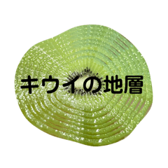 [LINEスタンプ] キウイフルーツ Kiwi fruit