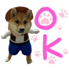 [LINEスタンプ] ココちゃん‪‪❤️