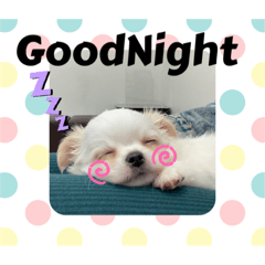 [LINEスタンプ] Nicoスタンプ #Part1