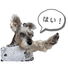 [LINEスタンプ] おちゃめなミニシュナ！ vol.3【日常編】