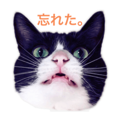 [LINEスタンプ] クロおぢさん・2(Monsieur Kulo-2)