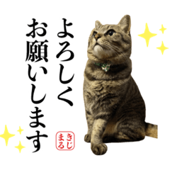 [LINEスタンプ] KIJIMARUスタンプ Part5