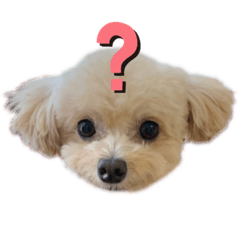 [LINEスタンプ] ポワン♡