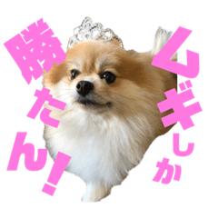 [LINEスタンプ] ムギしか勝たん！