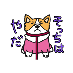 [LINEスタンプ] カラフルコーギーの日常