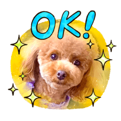 [LINEスタンプ] maronの気持ち