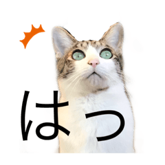 [LINEスタンプ] うちんちのこどもたち2