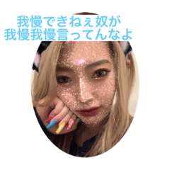 [LINEスタンプ] 猫ちゃん丸