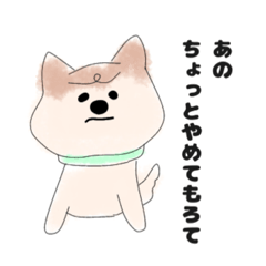 [LINEスタンプ] 癒し系しば犬？ちゃちゃの日常