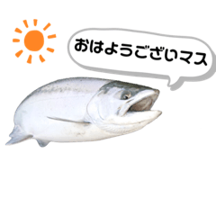 [LINEスタンプ] サクラマスタンプ