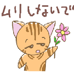 [LINEスタンプ] 猫ースマイルキャット①(アメショー)