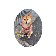 [LINEスタンプ] ナナ 2