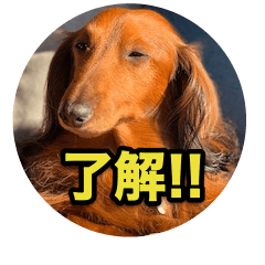 [LINEスタンプ] ダックスフントのマイロ