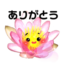 [LINEスタンプ] お花言葉【文字大きめ】