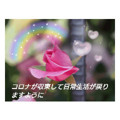 [LINEスタンプ] 写真を使って（35）