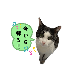 [LINEスタンプ] きっぺい24★①
