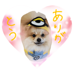 [LINEスタンプ] エールbabyの日常