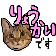 [LINEスタンプ] ねことていねい気味なことば