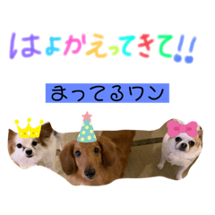 [LINEスタンプ] だいまめらっきースタンプ