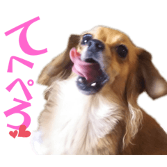 [LINEスタンプ] チロチロ④