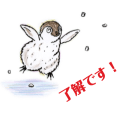 [LINEスタンプ] ペンギンの そらくん てんくん