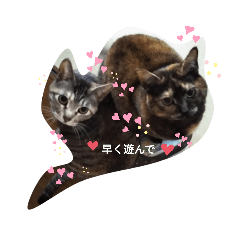 [LINEスタンプ] miciトGabu