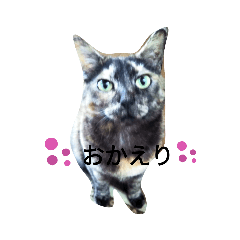 [LINEスタンプ] ガブとミチ