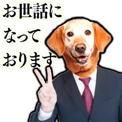[LINEスタンプ] 犬猫スーツ★スタンプの画像（メイン）