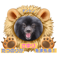 [LINEスタンプ] テンシンたつのり