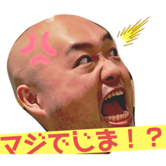 [LINEスタンプ] DQ枕芸者MAKO美ちゃんのすっぴんスタンプ