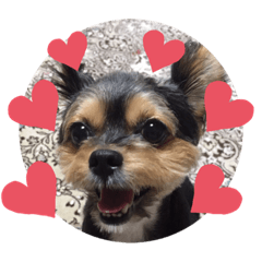 [LINEスタンプ] べちこスタンプ