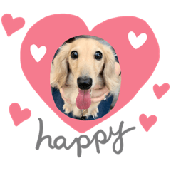 [LINEスタンプ] ❤️ミニチュアダックス モカちゃん❤️