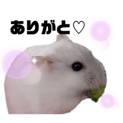 [LINEスタンプ] ぽた♡