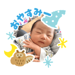 [LINEスタンプ] だいちゅけスタンプ