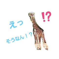 [LINEスタンプ] 動物で表現