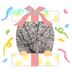 [LINEスタンプ] お花のスタンプだよ5