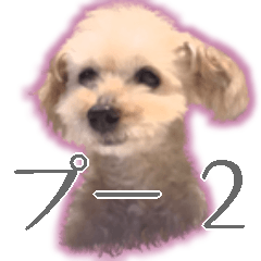 [LINEスタンプ] プーちゃん2 ＊asachi