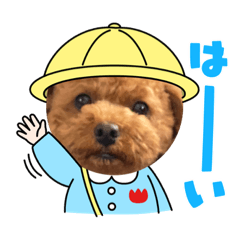 [LINEスタンプ] 可愛いまろんくんのスタンプ
