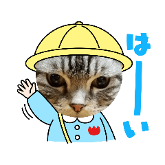 [LINEスタンプ] 我が家の4にゃんず