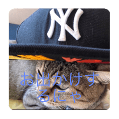 [LINEスタンプ] ミミの日記