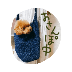 [LINEスタンプ] トイプー☆まろこ
