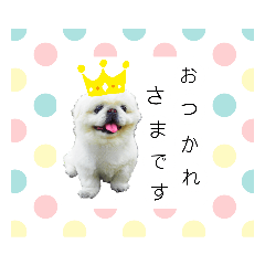 [LINEスタンプ] ラブペキニーズ
