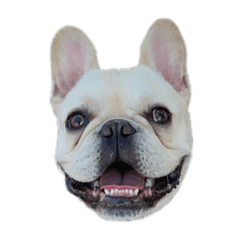 [LINEスタンプ] フレブルのジャンボ⑤
