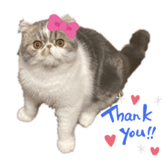 [LINEスタンプ] ♡エキゾのリロくん♡