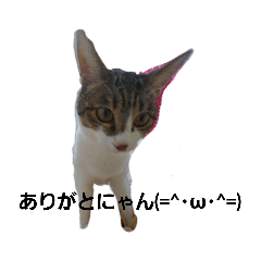 [LINEスタンプ] しおん＆こはる
